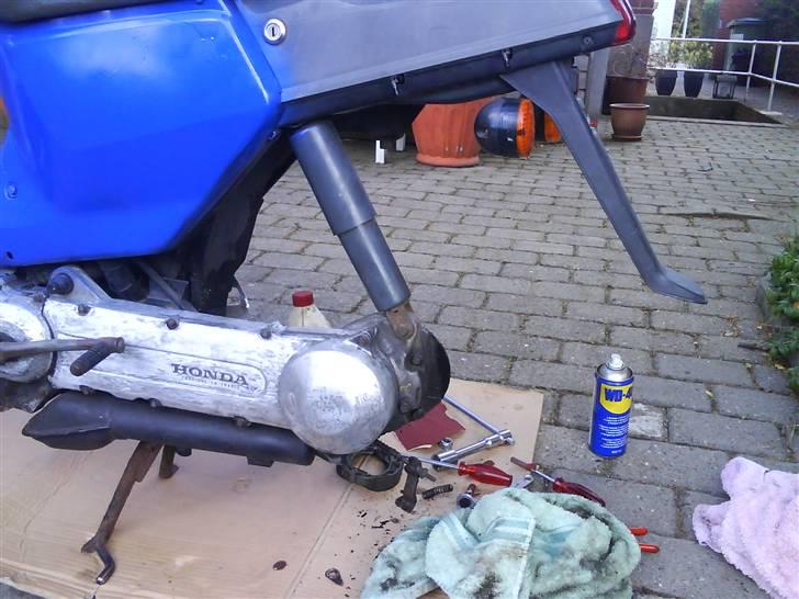 Honda wallaroo billede 5