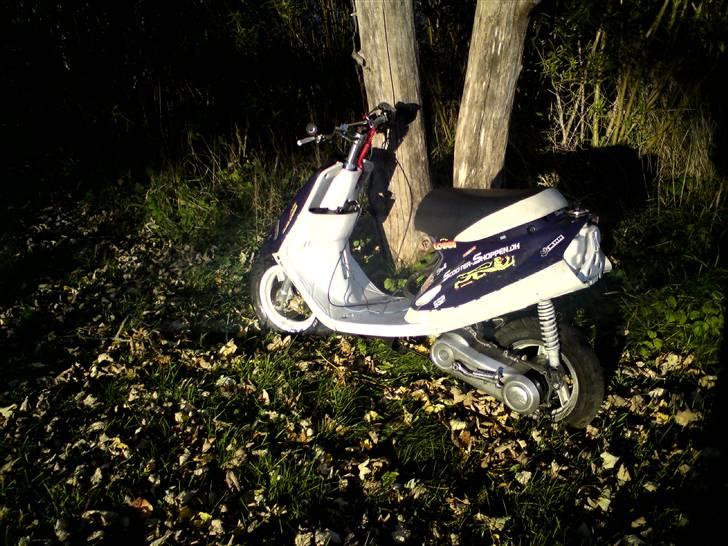 Yamaha jog FS PR Byttet - Kølerslanger & ledningerne kabler osv bliver lagt i skjoldene når jeg gider, ja det er grimt. billede 2