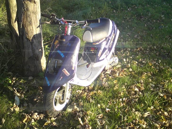 Yamaha jog FS PR Byttet - Kølerslanger & ledningerne kabler osv bliver lagt i skjoldene når jeg gider, ja det er grimt. billede 3