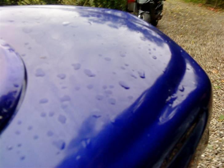 PGO Hot 50 S6  - lækker  billede 7