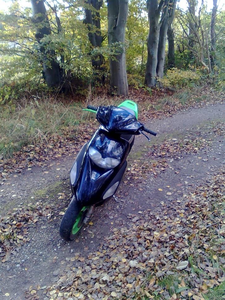 Honda sfx SOLGT billede 14