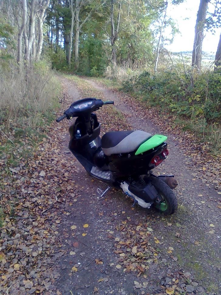 Honda sfx SOLGT billede 15