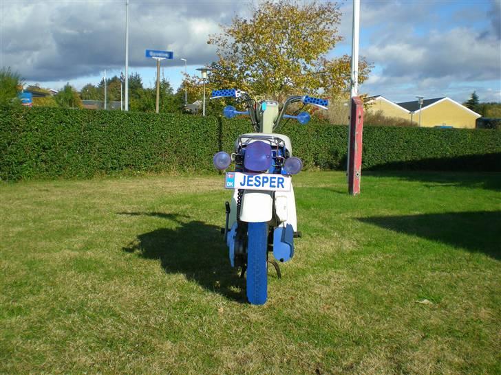 Suzuki Original Fz 50 (std) billede 15