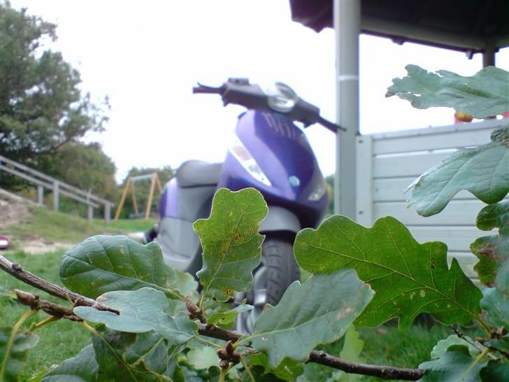 Piaggio New zIiIiPpPPpPpp billede 1