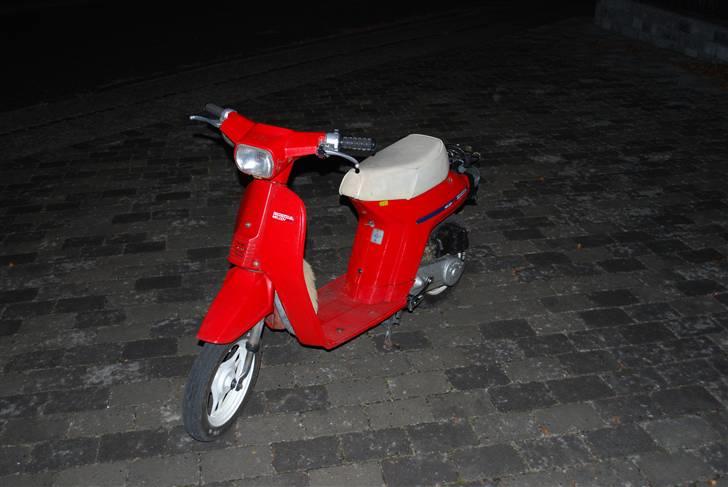 Honda Melody billede 1