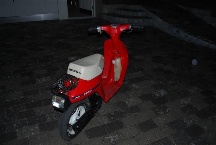 Honda Melody billede 3