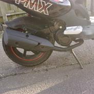 PGO pmx sport procjekt