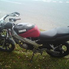 Yamaha Tzr 