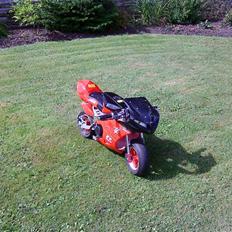 TM Pocketbike (solgt)