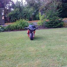 TM Pocketbike (solgt)