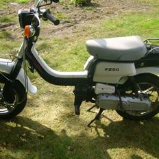 Suzuki fz 50 SOLGT 3000 KR