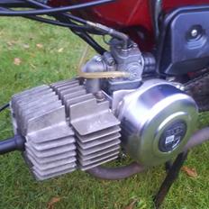 Puch maxi kl