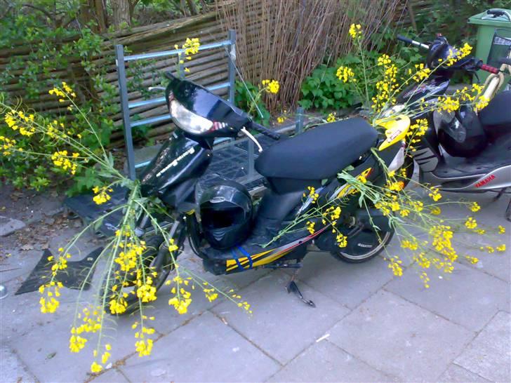 Giantco sprint (Batmand) - de gamle dage billede 3