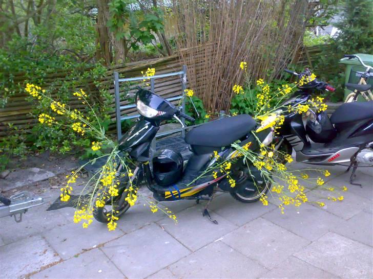 Giantco sprint (Batmand) - de gamle dage billede 4