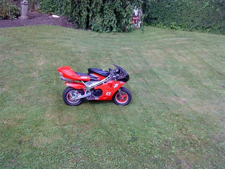 TM Pocketbike (solgt) billede 1