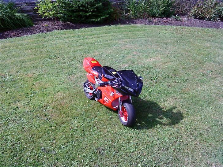 TM Pocketbike (solgt) billede 2