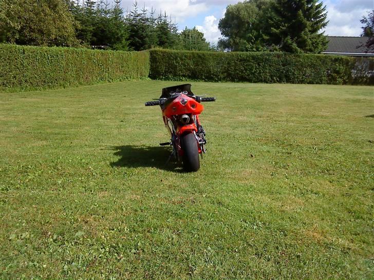 TM Pocketbike (solgt) billede 7