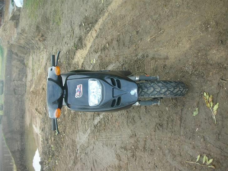 Piaggio Typhoon Solgt  billede 3