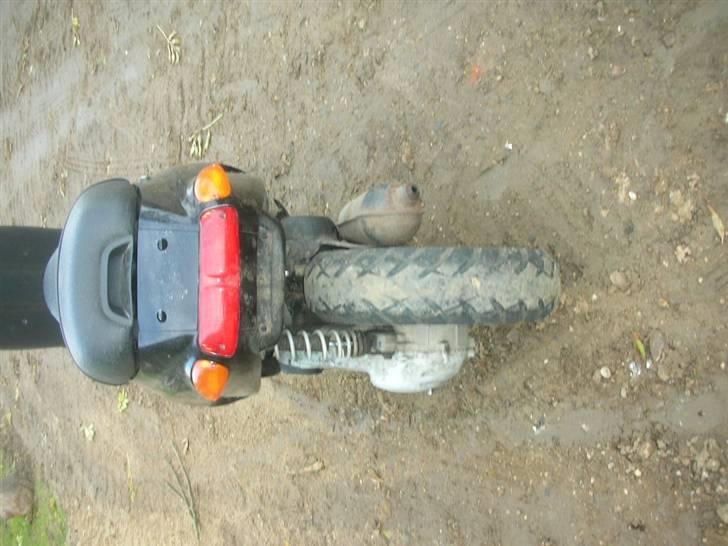 Piaggio Typhoon Solgt  billede 7