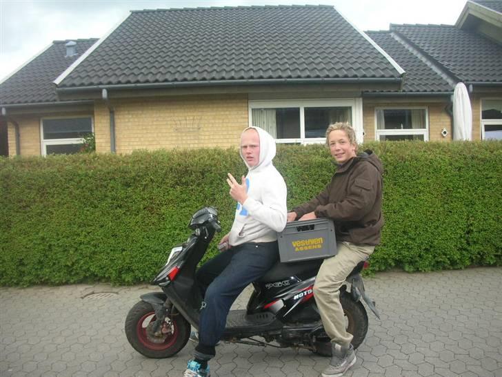 Piaggio Typhoon Solgt  billede 11