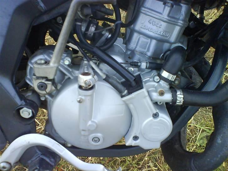 Derbi Senda. solgt billede 4