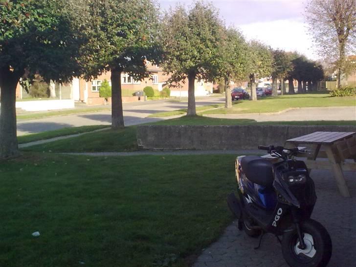 PGO hot 50 billede 6