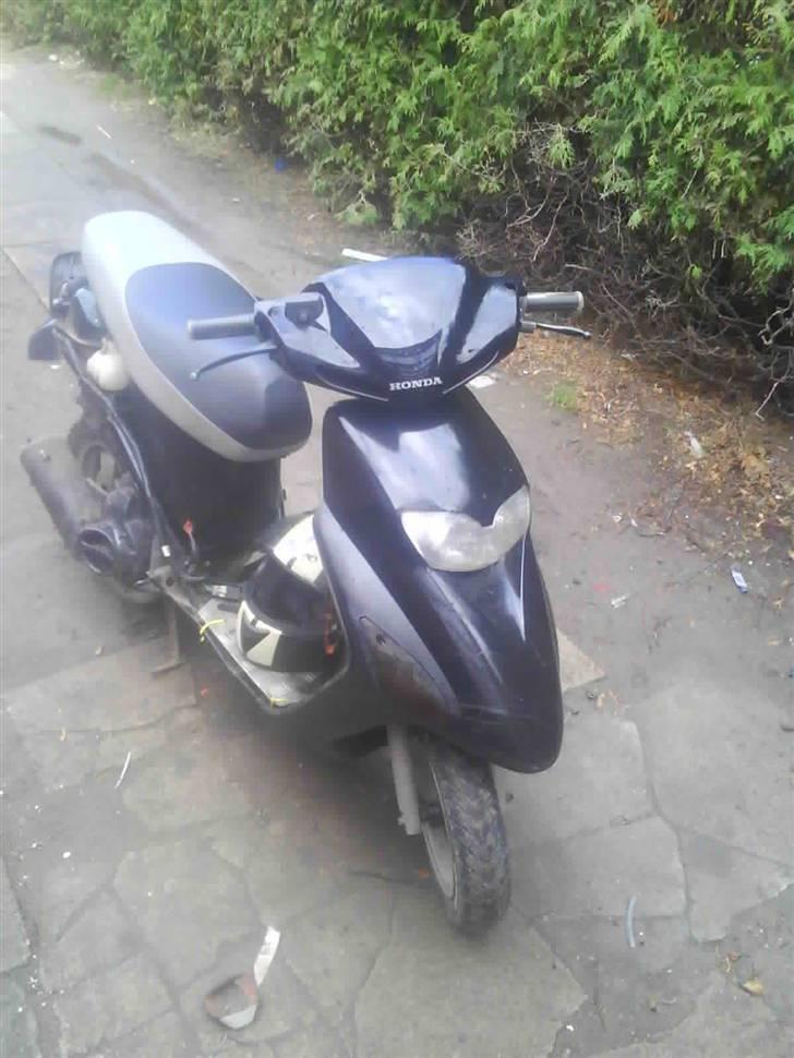 Honda sfx solgt billede 3