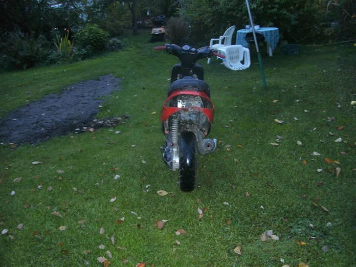 Gilera stalker solgt billede 4