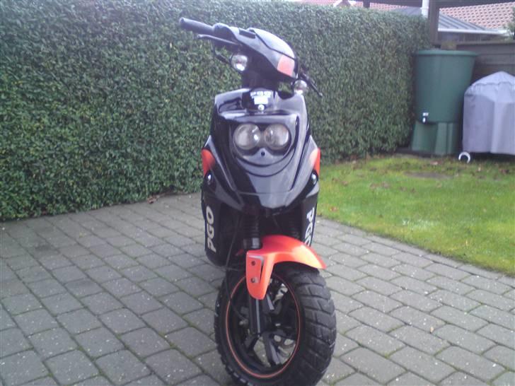 PGO Hot 50 billede 1