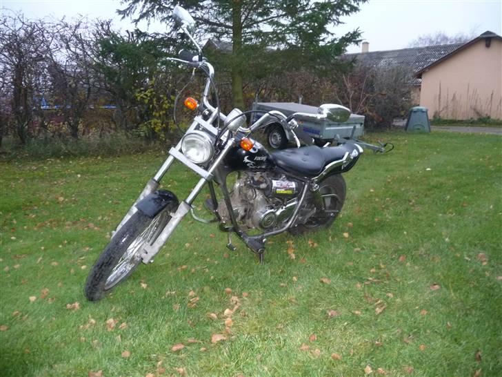 Regal dd 50 qe billede 3
