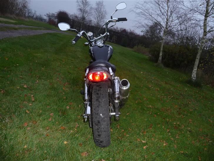 Regal dd 50 qe billede 6