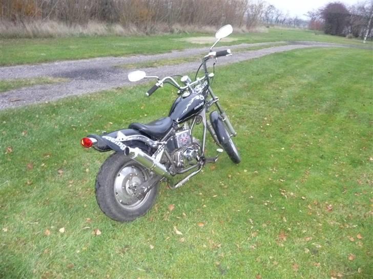 Regal dd 50 qe billede 7