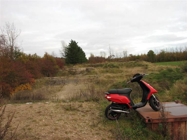 Gilera Storm SOLGT billede 19