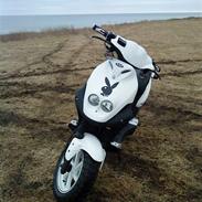 PGO pmx sport - solgt