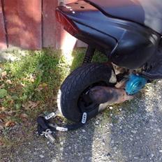 Aprilia Rally SOOOOLGT