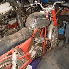 Veteraner Everton TT