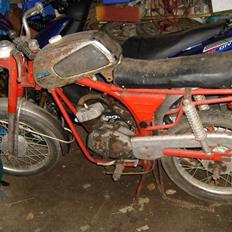 Veteraner Everton TT