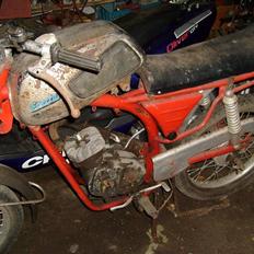 Veteraner Everton TT