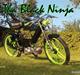 Puch Maxi K Ninja