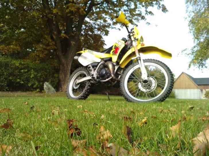 Suzuki RMX billede 10