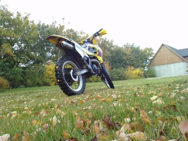 Suzuki RMX billede 12