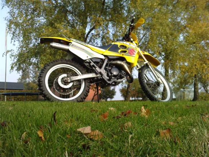 Suzuki RMX billede 13