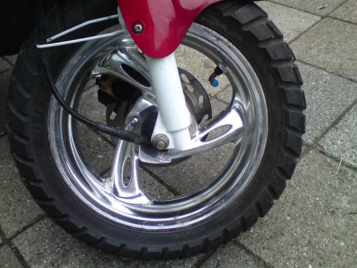 PGO hot  50 jubilæums model billede 5