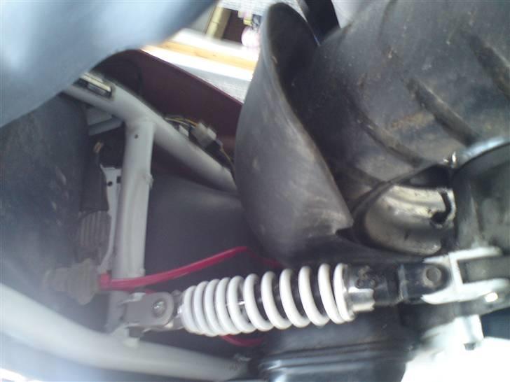 PGO hot  50 jubilæums model billede 6