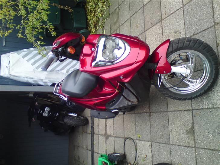 PGO hot  50 jubilæums model billede 9