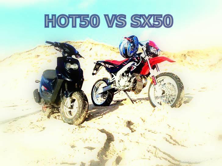 PGO hot 50    snottie :i <3 - mig og banditten på stranden :D billede 8