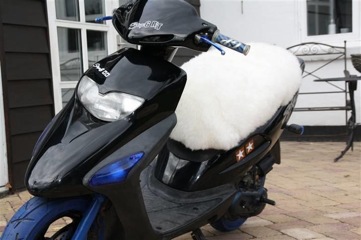 Honda Sfx billede 17