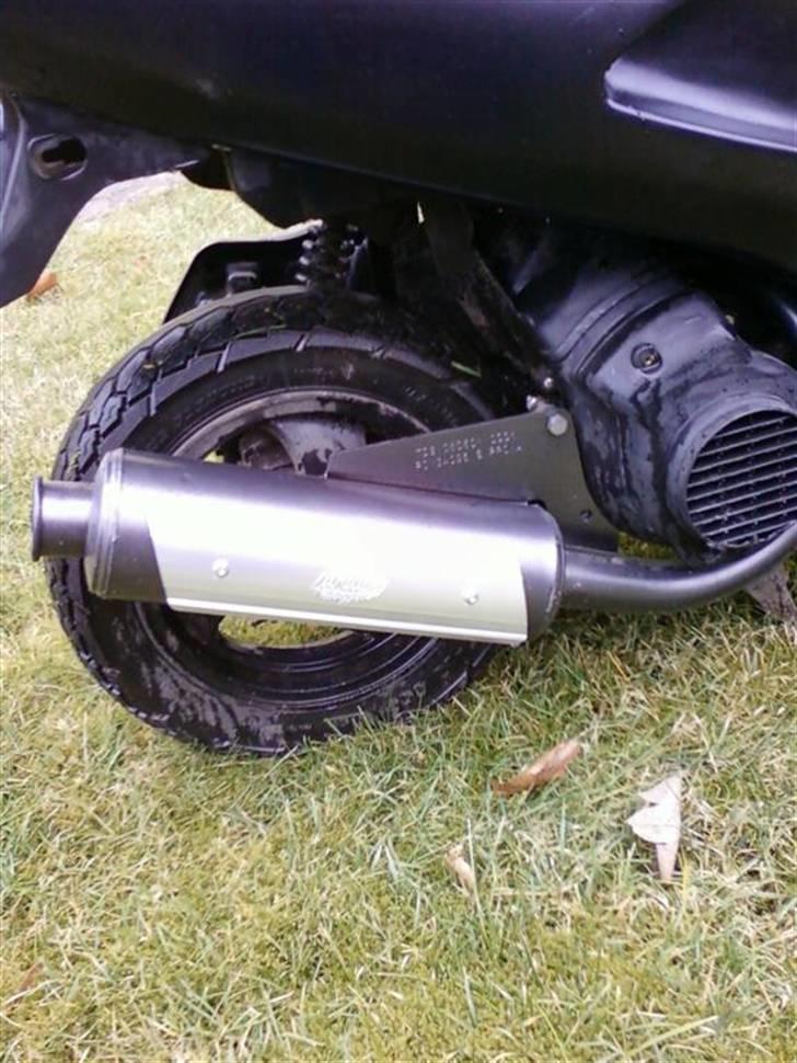 Honda SFX # SOLGT # billede 5