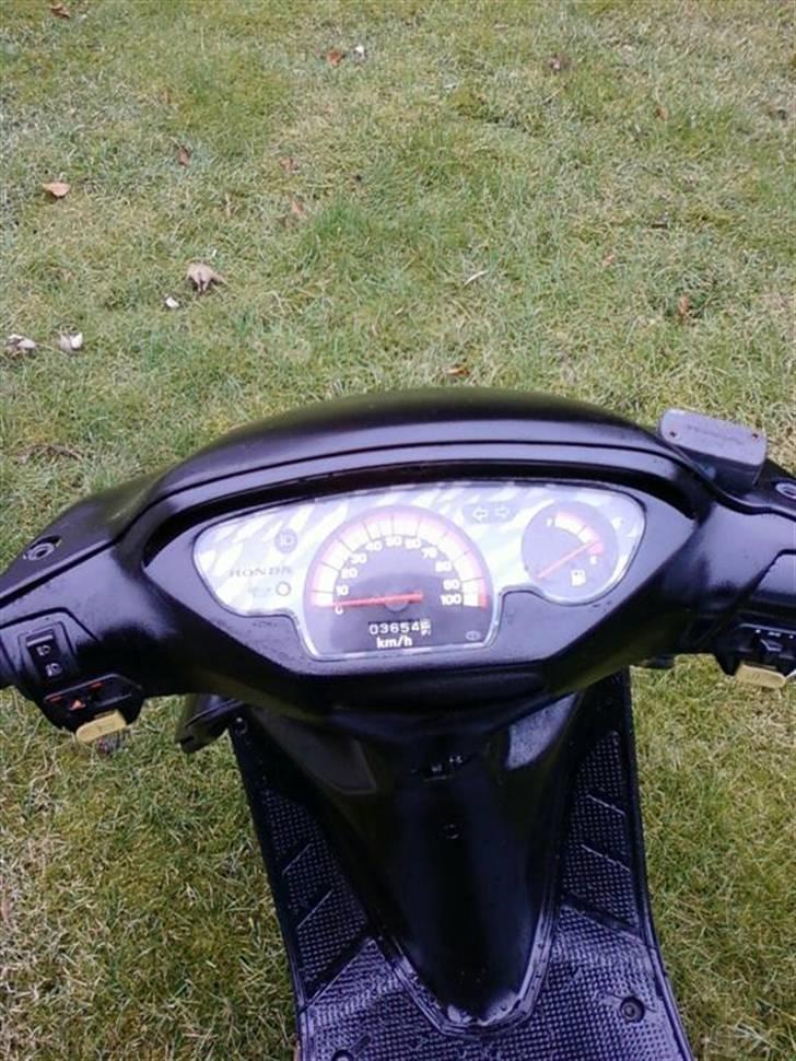 Honda SFX # SOLGT # billede 7