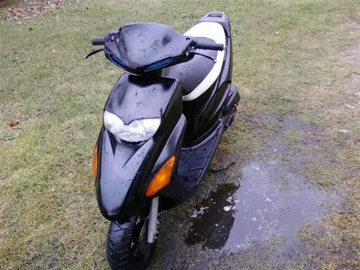 Honda SFX # SOLGT # billede 8